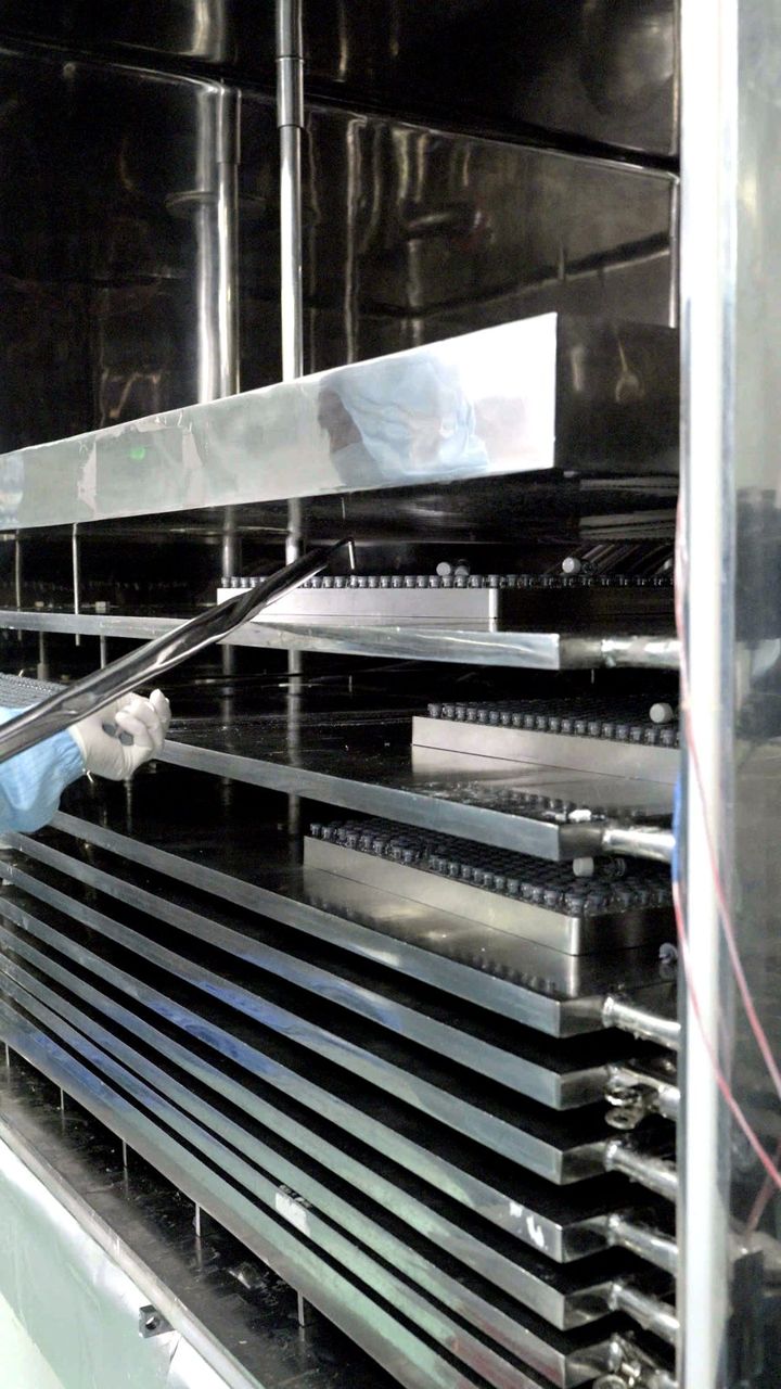 Shelves of a freeze-dryer