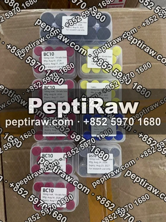 Kits in the inner box before sealing